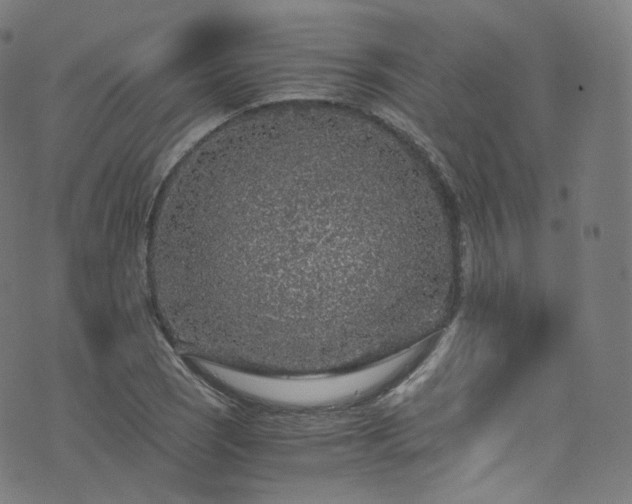 X0000076271121200610051304