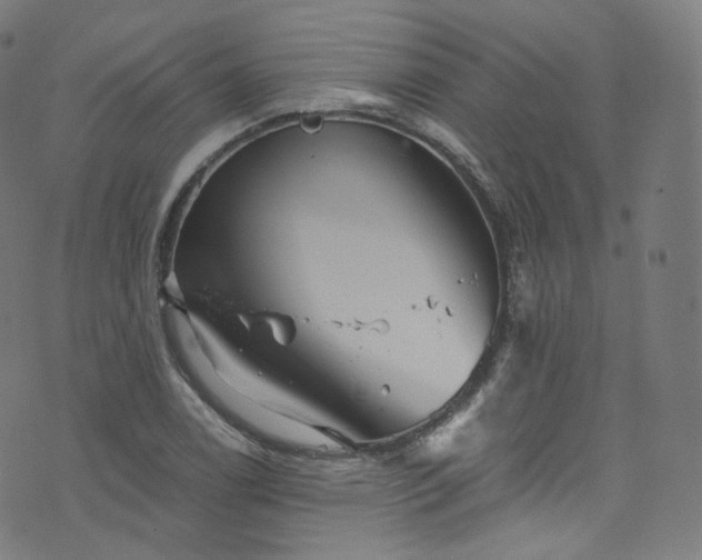 X0000076271122200610051304