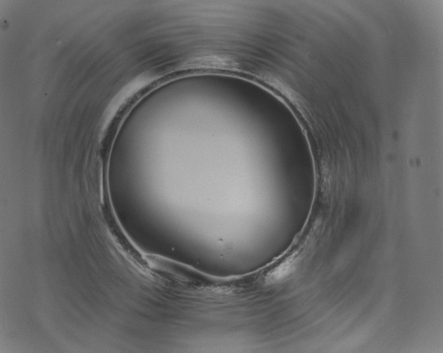 X0000076271123200610051304