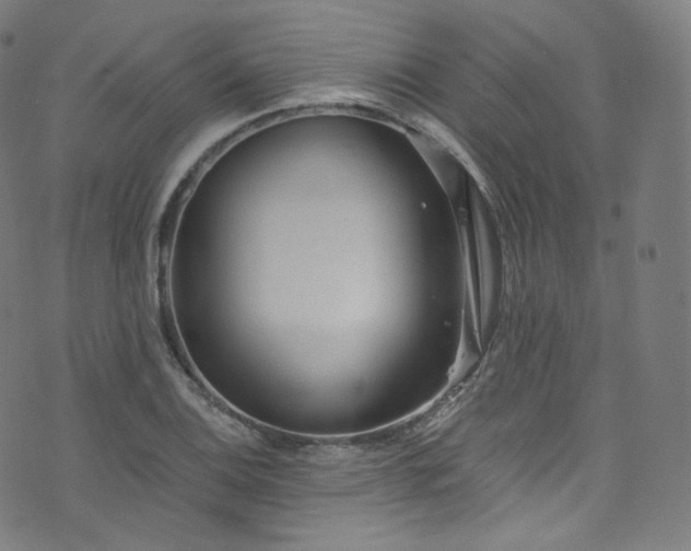 X0000076271124200610051304