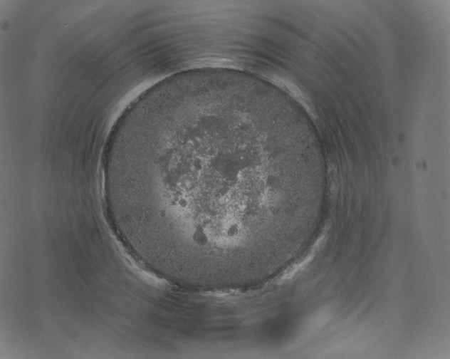 X0000076271125200610051304