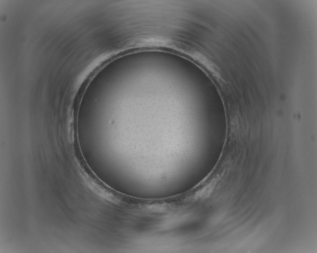 X0000076271126200610051304