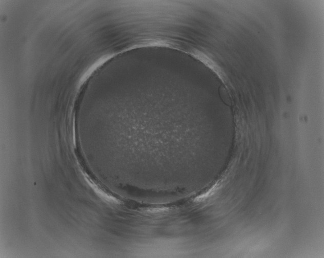 X0000076271127200610051304