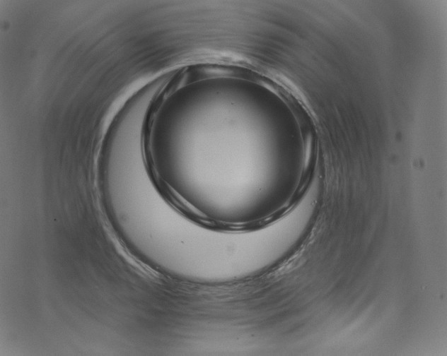 X0000076271128200610051304