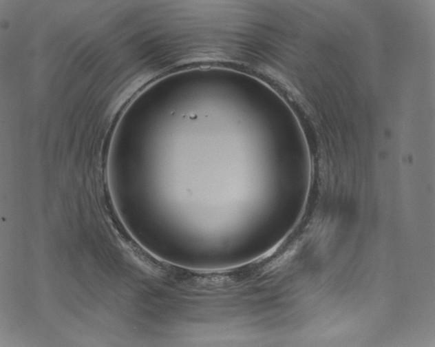 X0000076271129200610051304