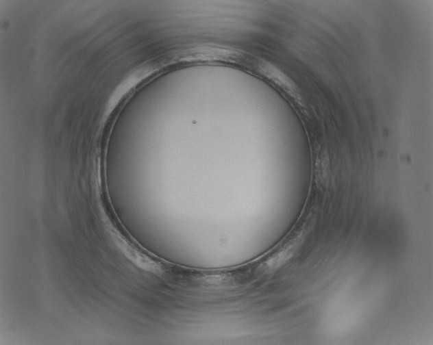 X0000076271130200610051304