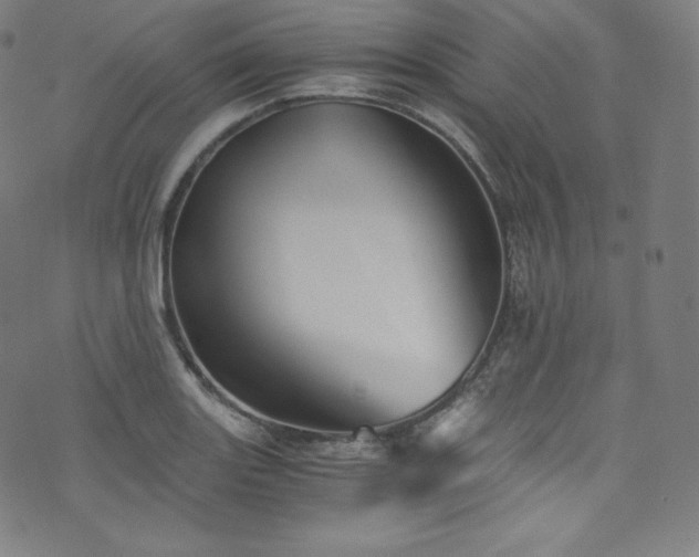 X0000076271131200610051304