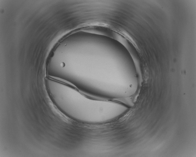 X0000076271132200610051304