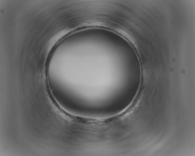 X0000076271133200610051304