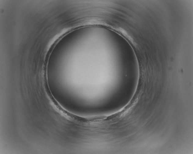 X0000076271134200610051304