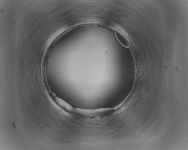 X0000076271135200610051304