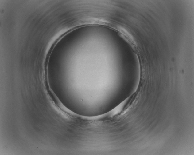 X0000076271136200610051304