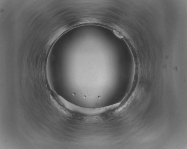 X0000076271137200610051304