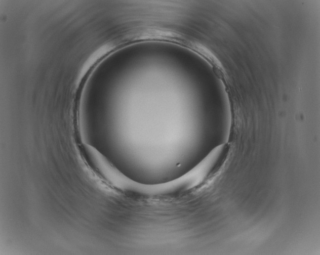 X0000076271138200610051304