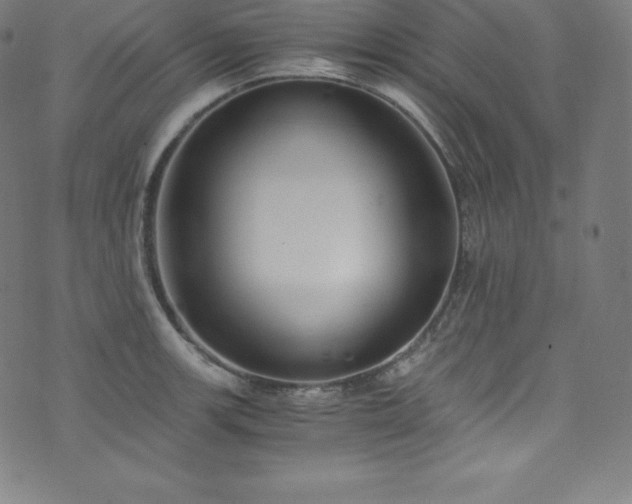 X0000076271139200610051304