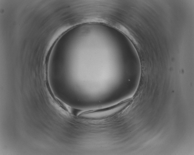 X0000076271140200610051304