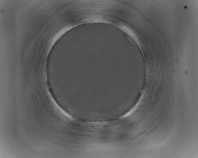 X0000076271141200610051304