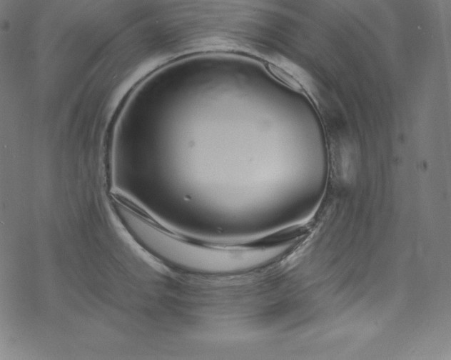 X0000076271142200610051304