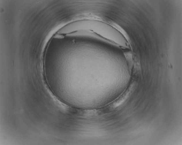 X0000076271144200610051304