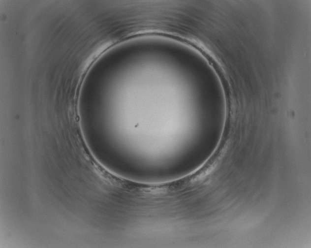 X0000076271145200610051304