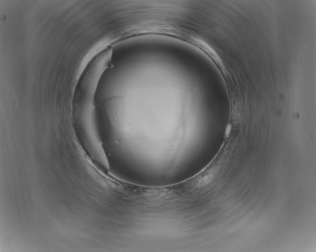 X0000076271146200610051304