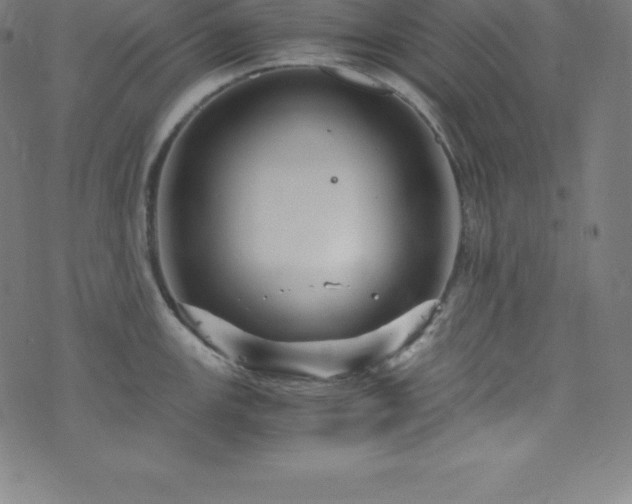 X0000076271147200610051304