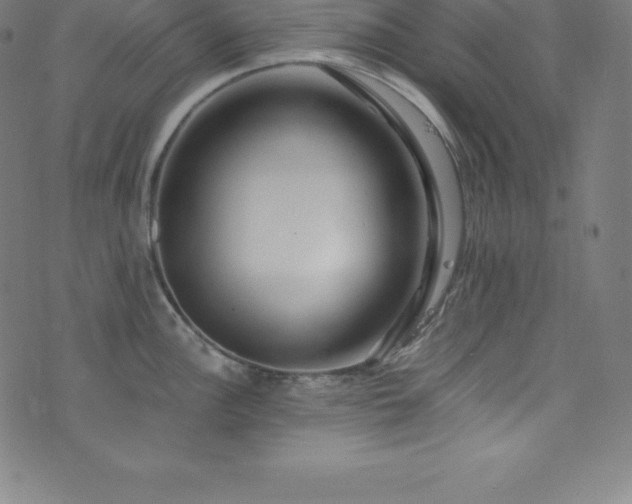 X0000076271148200610051304