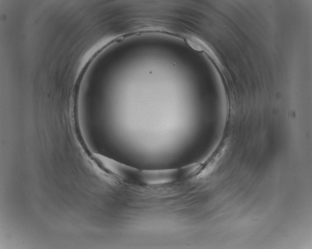 X0000076271149200610051304