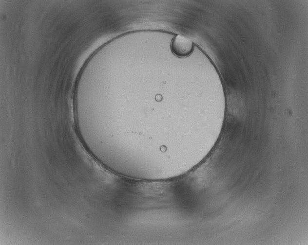 X0000076271150200610051304