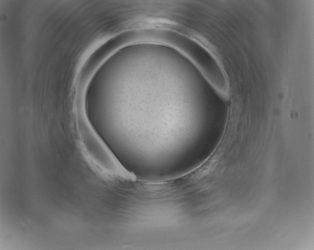 X0000076271152200610051304