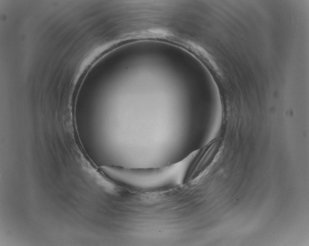 X0000076271184200610051303