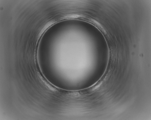 X0000076271186200610051303