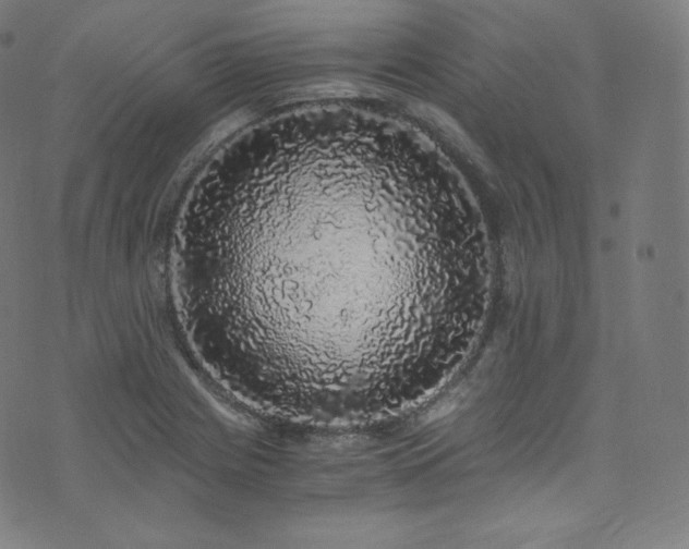 X0000076271225200610051302