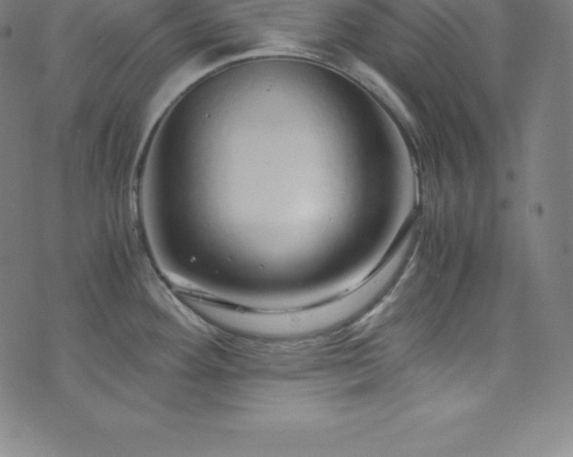 X0000076271292200610051301