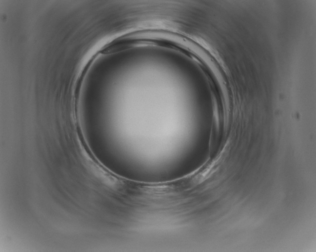 X0000076271342200610051301