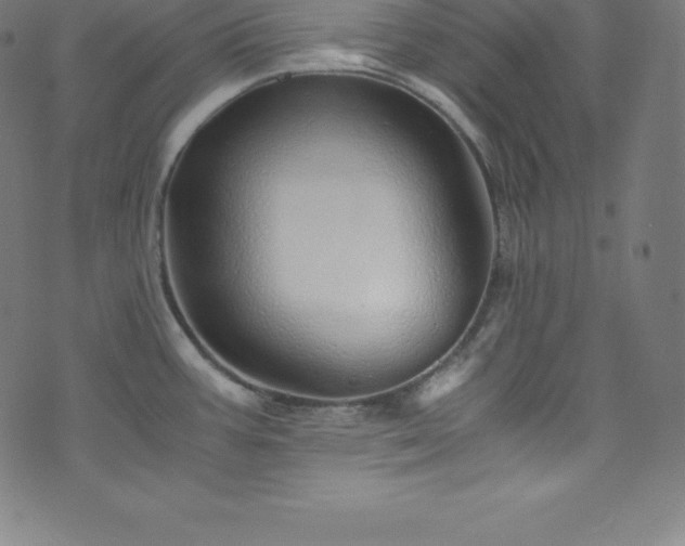 X0000076271387200610051300