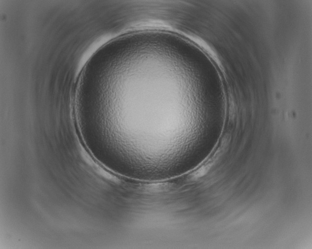X0000076271390200610051300