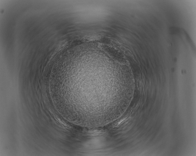 X0000076271393200610051259