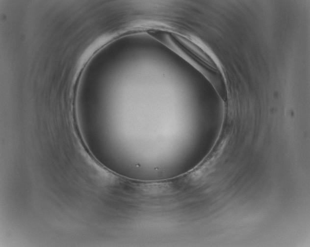 X0000076271437200610051259