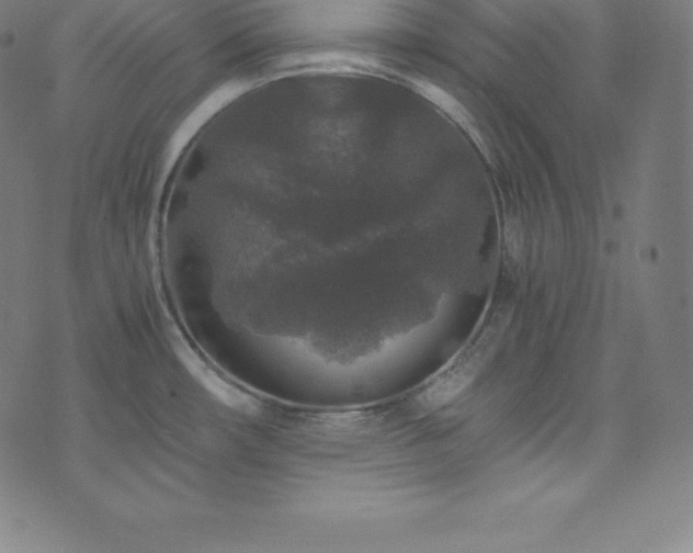 X0000076271482200610051258
