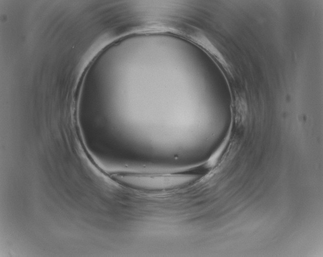 X0000076271484200610051258