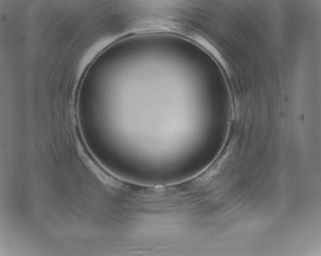 X0000076271485200610051258