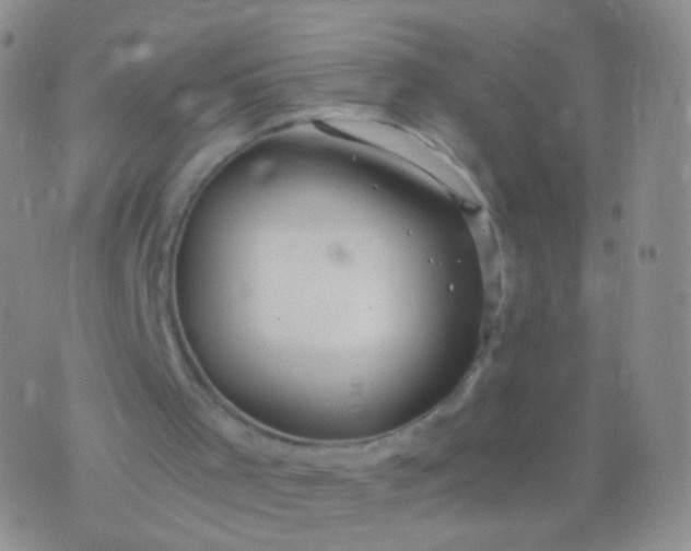 X0000076270001200610122307