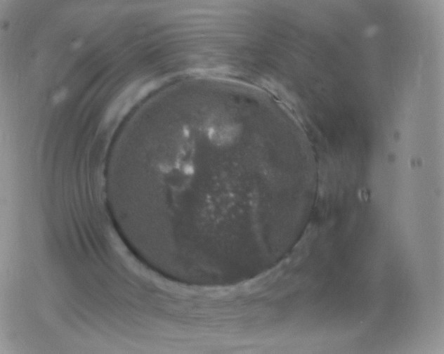 X0000076270002200610122307