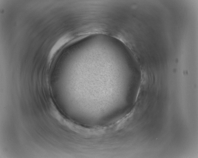 X0000076270004200610122306