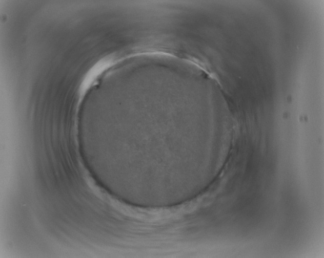 X0000076270006200610122306