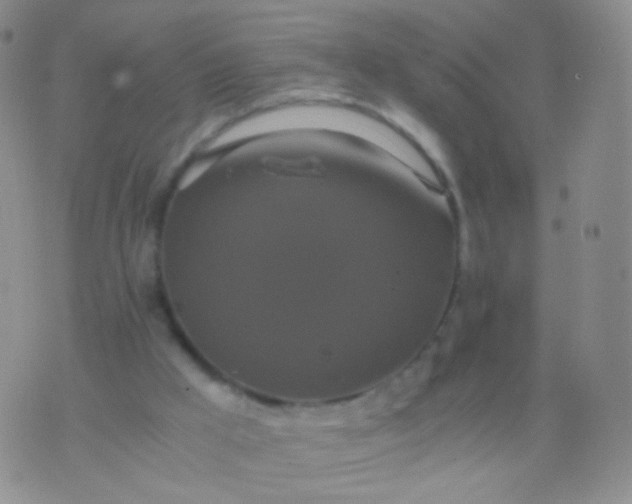 X0000076270009200610122306