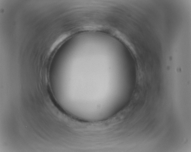 X0000076270011200610122306