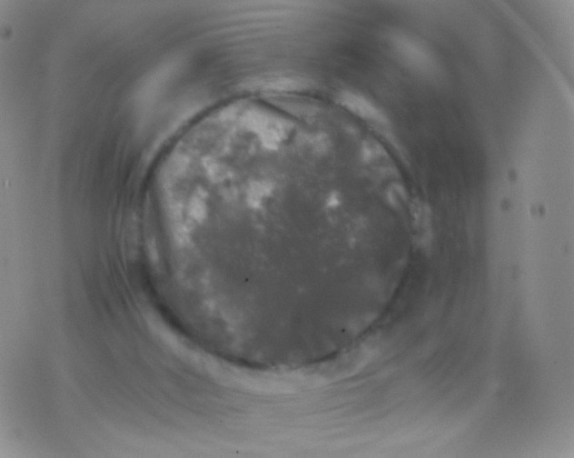 X0000076270012200610122306