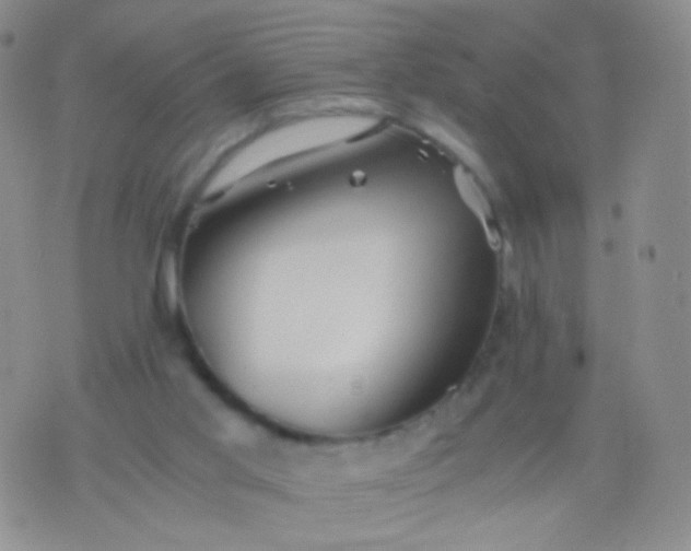 X0000076270013200610122306